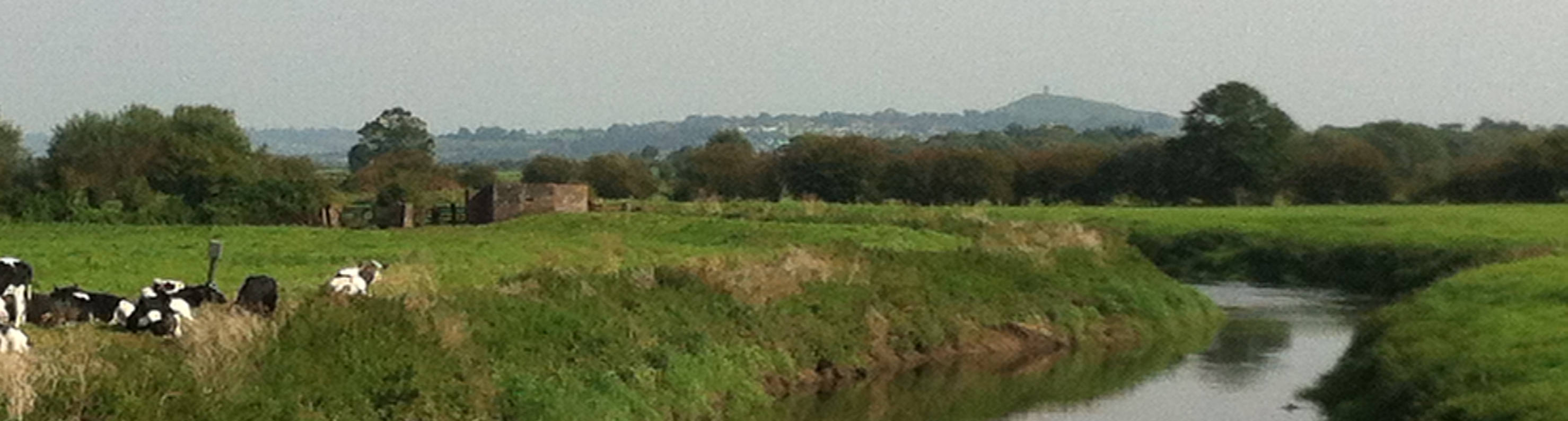 Landscape of Moors and Glastonbury Tor